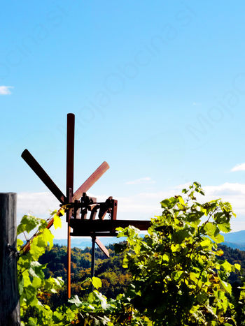 Obisk sejma v Gornji Radgoni