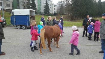 Novoletno druženje s konji