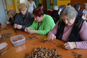 Stanovalci v Našem domu luščili orehe in navijali za naše olimpijce Stanovalci v Našem domu luščili orehe in navijali za naše olimpijce