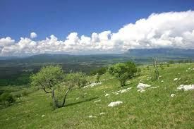 Prijava udeležencev