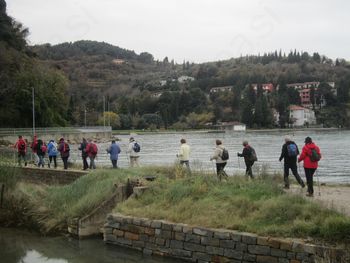 Martinovanje v Beli krajini