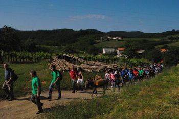 Med Šmarenskimi griči letos še bolj pestro