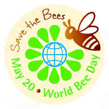 Mladi raziskovalci OŠ Vojnik