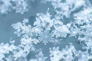 Voščilo PGD Borovnica