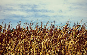 Zbiranje vlog zaradi posledic suše v letu 2013