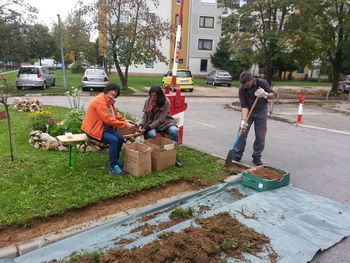 Zelemenjava jesen 2015