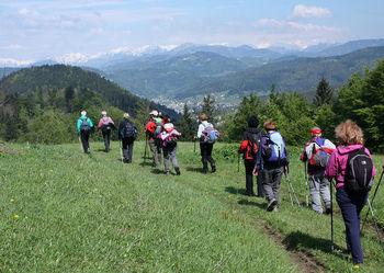 Sončki na Vrhu Sv. Treh Kraljev