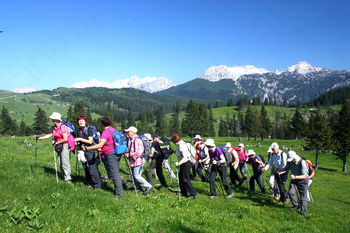 Sončki na Veliki planini