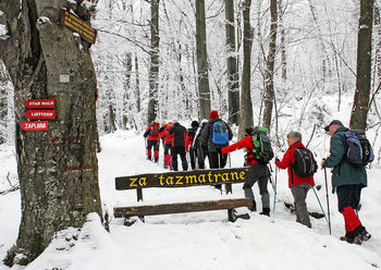 Zaključni pohod Sončkov na Planino