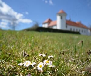 Grajska zeliščarska delavnica: Sprehod po cvetočem vrtu