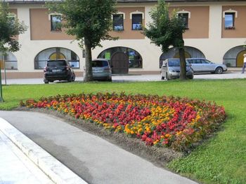 SKUPNOST VRTIČKARJEV OBČINE MEŽICA
