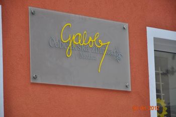ČEBELARSKA ZBIRKA MEŽICA