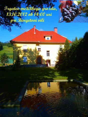 2. TRGATEV MEŽIŠKEGA GROZDA