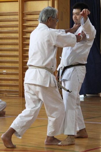 KARATE VPIS