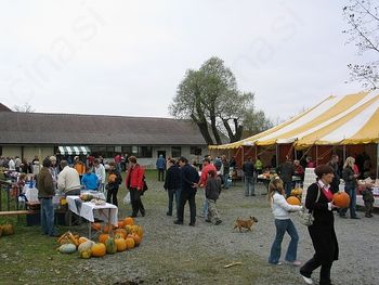 Kam čez vikend v Ljubljani?