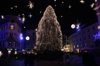 Zmago Modic na Krakovskem nasipu