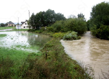 Hidrotehnik bo urejal Borovniščico Hidrotehnik bo urejal Borovniščico