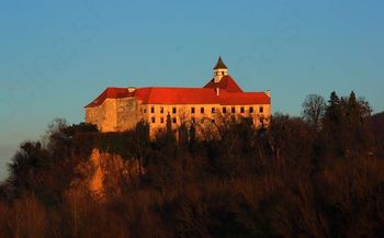 Grad Borl bo spet na dražbi