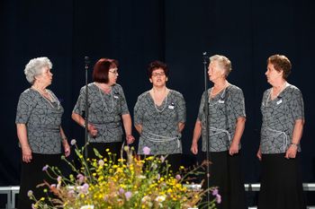 Delovanje ljudskih pevk "Lastovk"