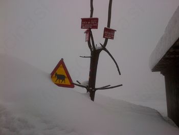 Zimsko vzdrževanje cest in javnih površin na preizkušnji