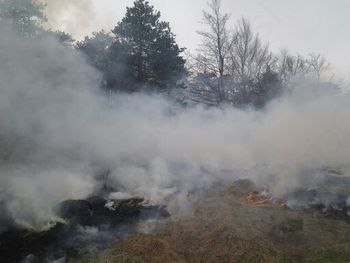 V obdobju velike požarne ogroženosti je prepovedana uporaba ognja v naravnem okolju