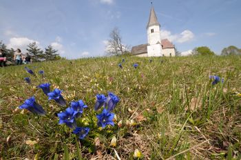 LOVRENC