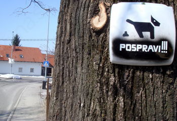Pasji iztrebki vsepovsod – kaj pa zdaj?