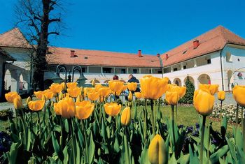 Porast turističnih nočitev v Slovenj Gradcu
