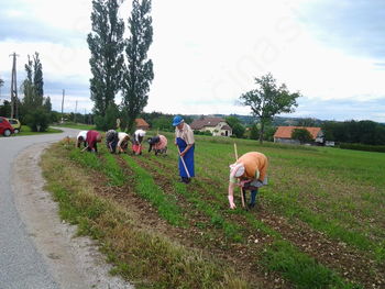 Od lanu do platna Od lanu do platna