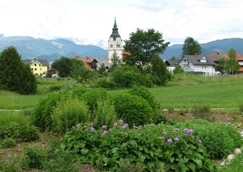 Hortikultura v Lescah