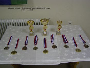POKALI IN MEDALJE