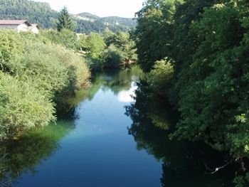 Podatki ARSA o preliminarnih rezultatih analiz vod Tojnice in Ljubljanice vzorčenih 22. 5. 2017