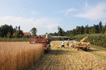 Vrata našega društva so odprta za vse občane, predvsem mlade, ki imajo ideje in bi bili pripravljeni organizirati zanimive dogodke ob pomoči bolj izkušenih članov! Vrata našega društva so odprta za vse občane, predvsem mlade, ki imajo ideje in bi bili pripravljeni organizirati zanimive dogodke ob pomoči bolj izkušenih članov!