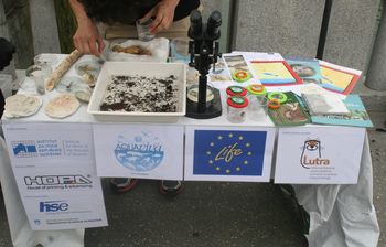 Spoznajte pestro življenje celinskih voda
