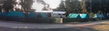Pestro leto 2013 za Odporne želve