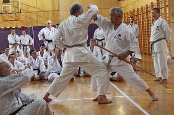 KARATE-VPIS NOVINCEV