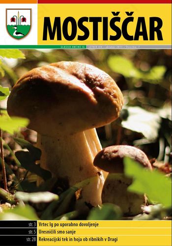 Nova številka Mostiščarja Nova številka Mostiščarja