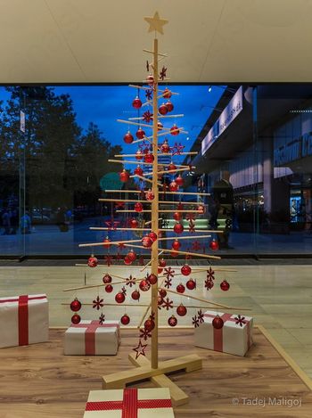 Xmas3 – Božično drevo v sožitju z naravo