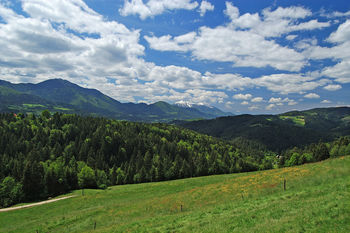 Turistične nočitve v Slovenj Gradcu