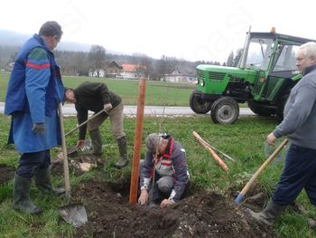 Člani Ekološkega društva sodelovali na akciji