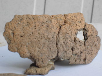 Arheologe presenetile prazgodovinske najdbe v Krašnji Arheologe presenetile prazgodovinske najdbe v Krašnji
