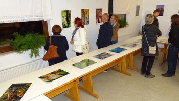 Razstava božično-novoletnih izdelkov v Slovenj Gradcu