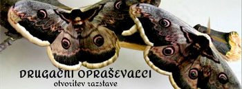 DRUGAČNI OPRAŠEVALCI