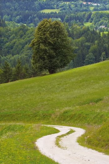 Meškova pot (Foto Tomo Jeseničnik, arhiv MO Slovenj Gradec)