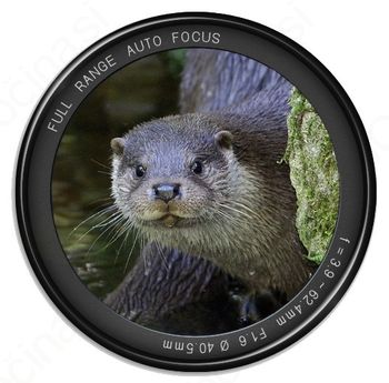 Fotografiraj, spoznaj, varuj ...
