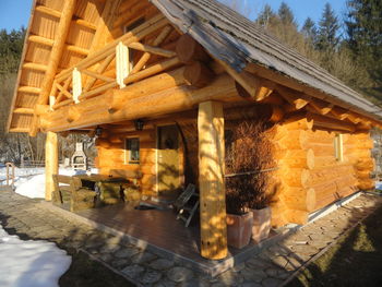 Dan žena, materinski dan