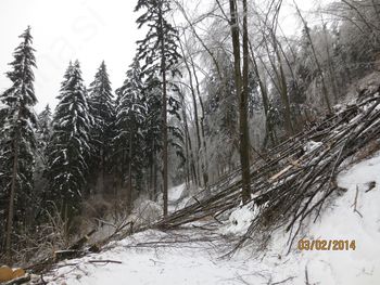 Področje občine Lukovica močno prizadeto