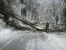 Posledice žleda v  Občini Grosuplje