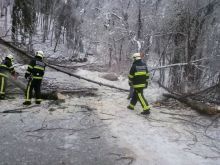 Posledice žleda v  Občini Grosuplje