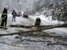 Posledice žleda v  Občini Grosuplje